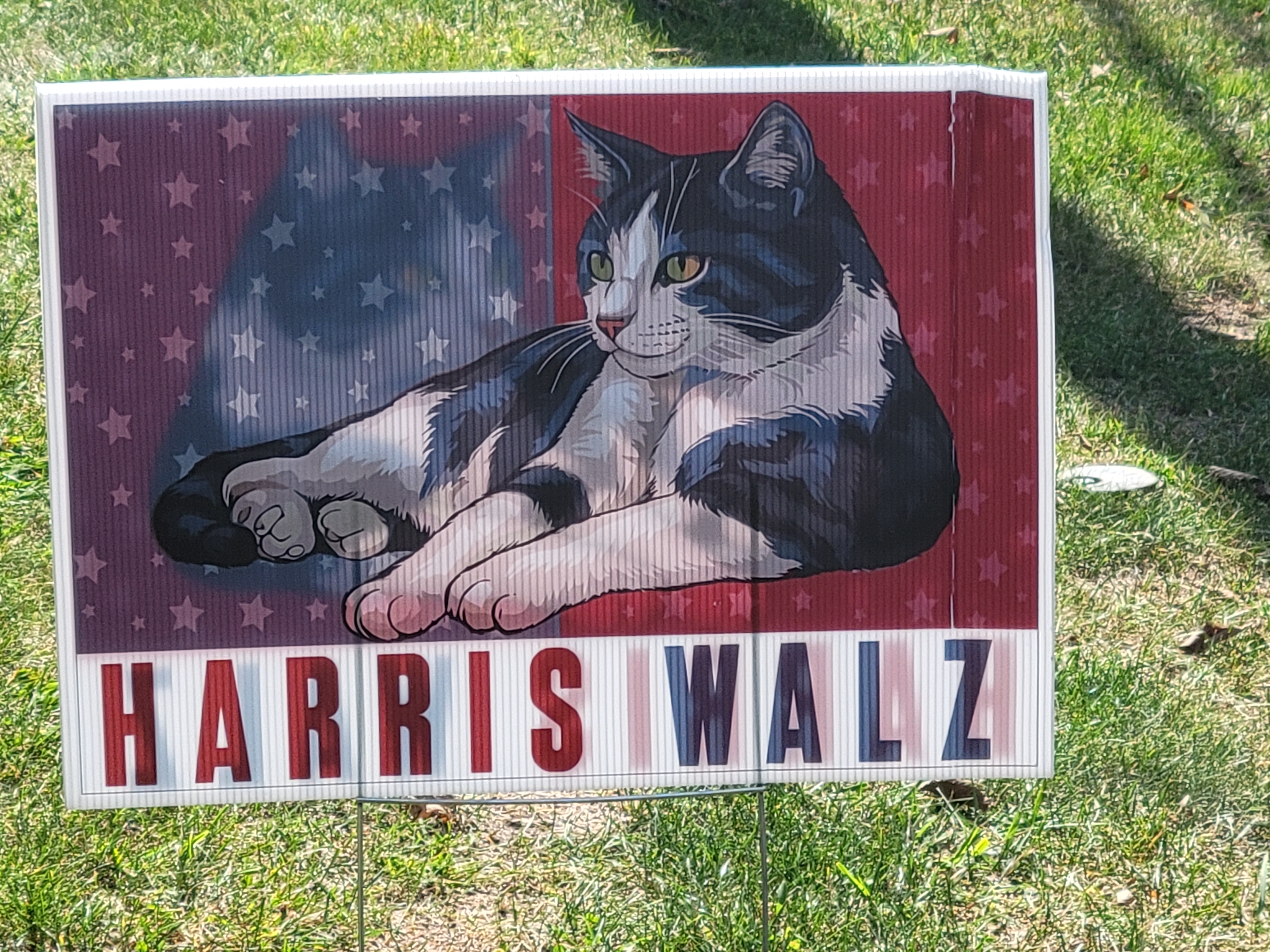 20240917 122643.jpg?ixlib=rails 2.1