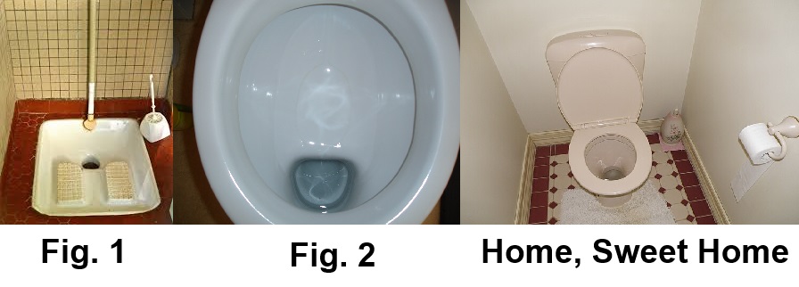 The varieties of fecal experience photo.jpg?ixlib=rails 2.1