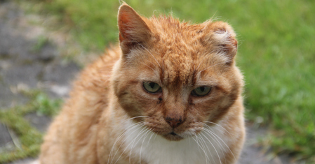 20120713 img 1338.jpg?ixlib=rails 2.1