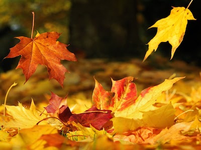 Amnesia 3.jpg?ixlib=rails 2.1