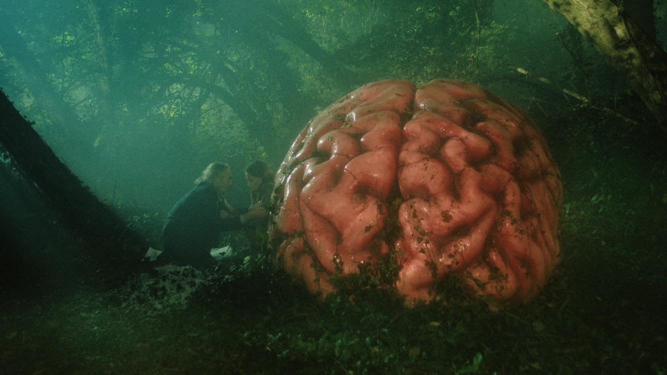 Mv5bogjjzdvhn2etzjcxny00nmjlltg1nzmtogzlowyzzdy0mde2xkeyxkfqcgdeqwfybm8 . v1 .jpg?ixlib=rails 2.1