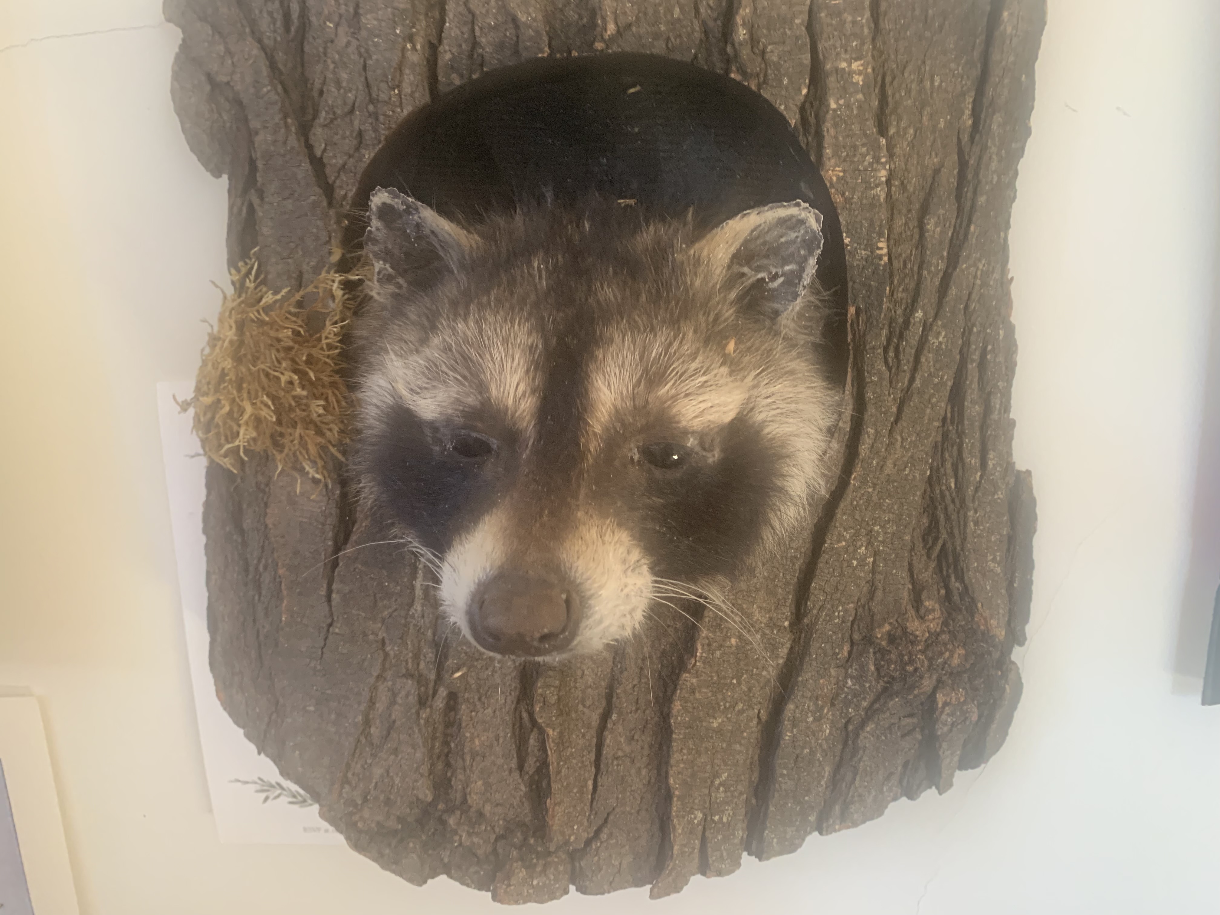 Img 0866.jpg?ixlib=rails 2.1