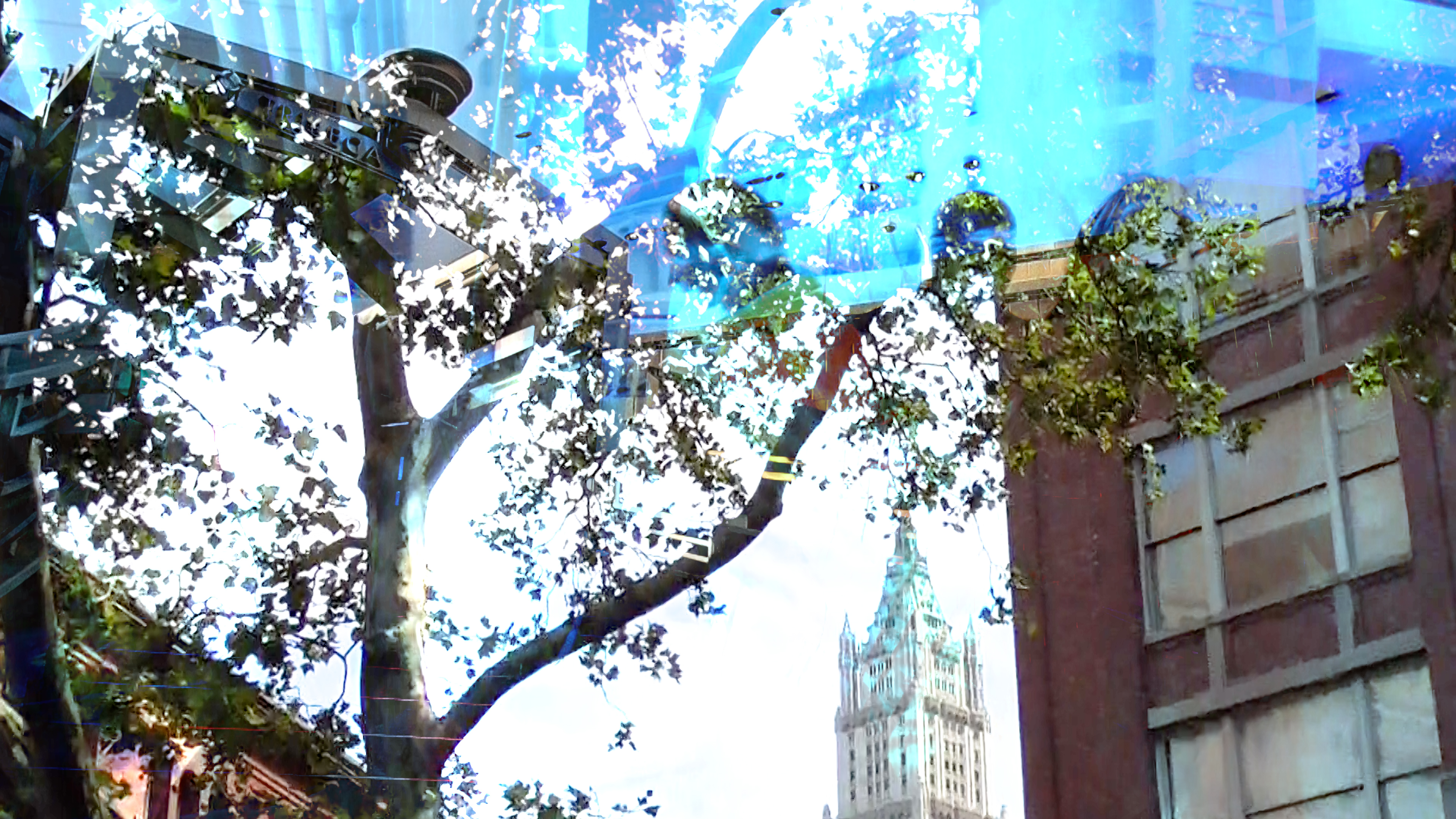 A098c009 230528 j030.00 23 07 18.still096.jpg?ixlib=rails 2.1