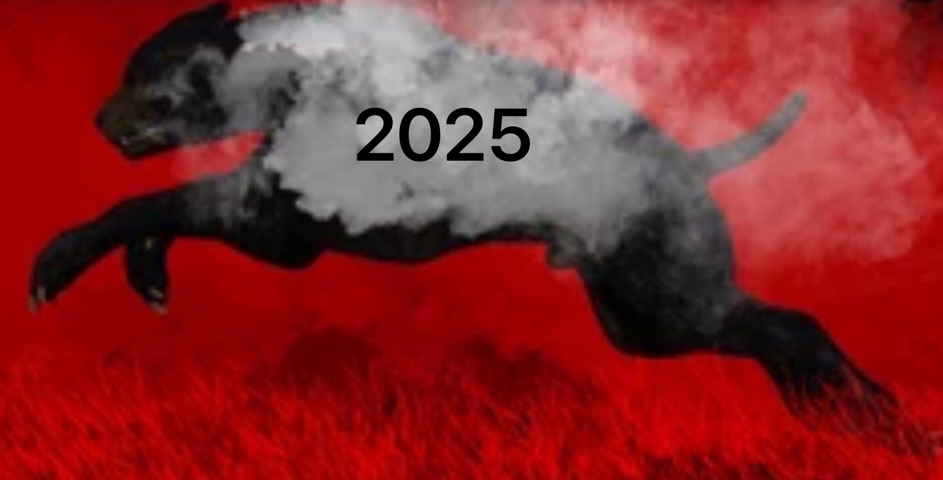 Adsfcae.jpg?ixlib=rails 2.1