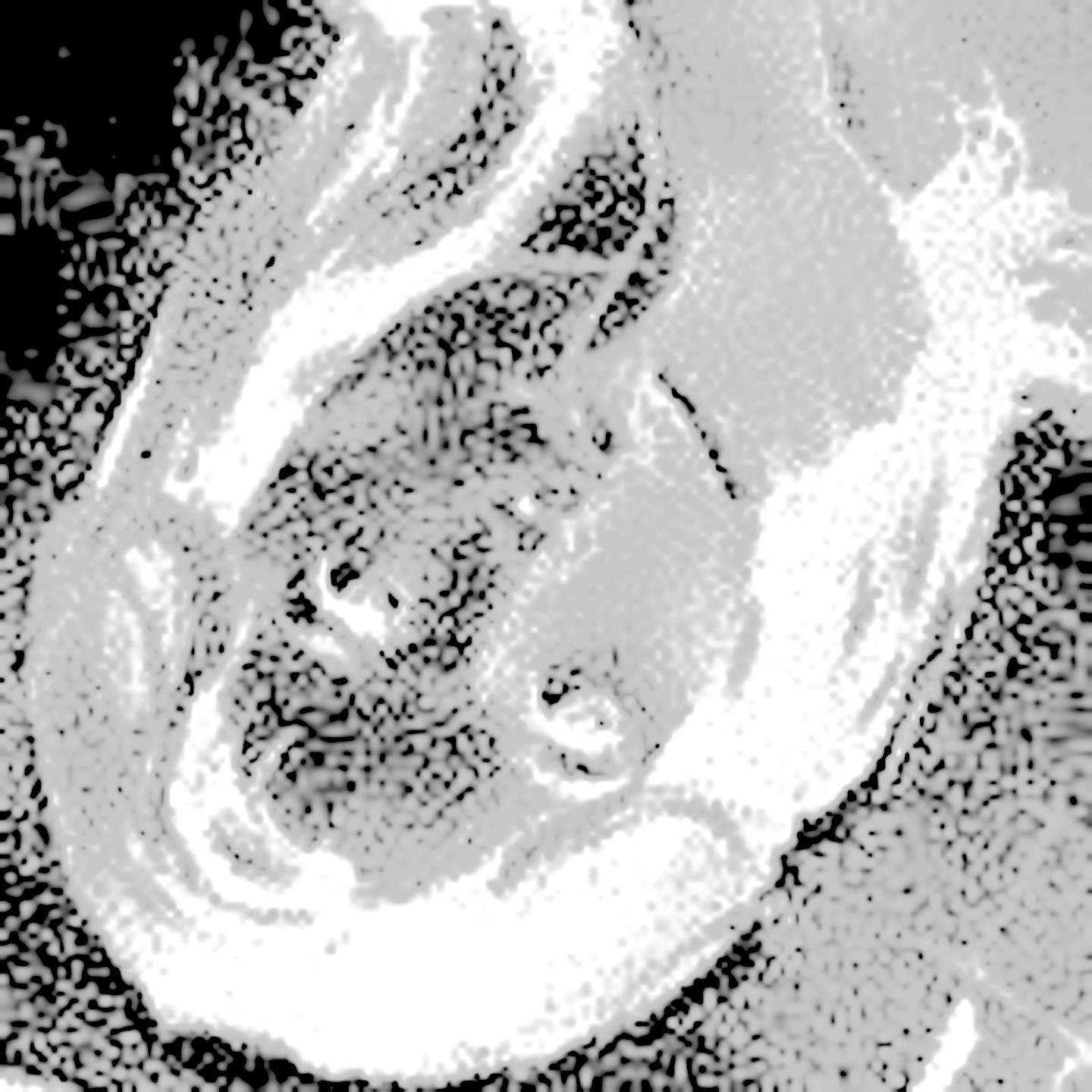 Fmaifwrr 400x400 copy.jpeg?ixlib=rails 2.1