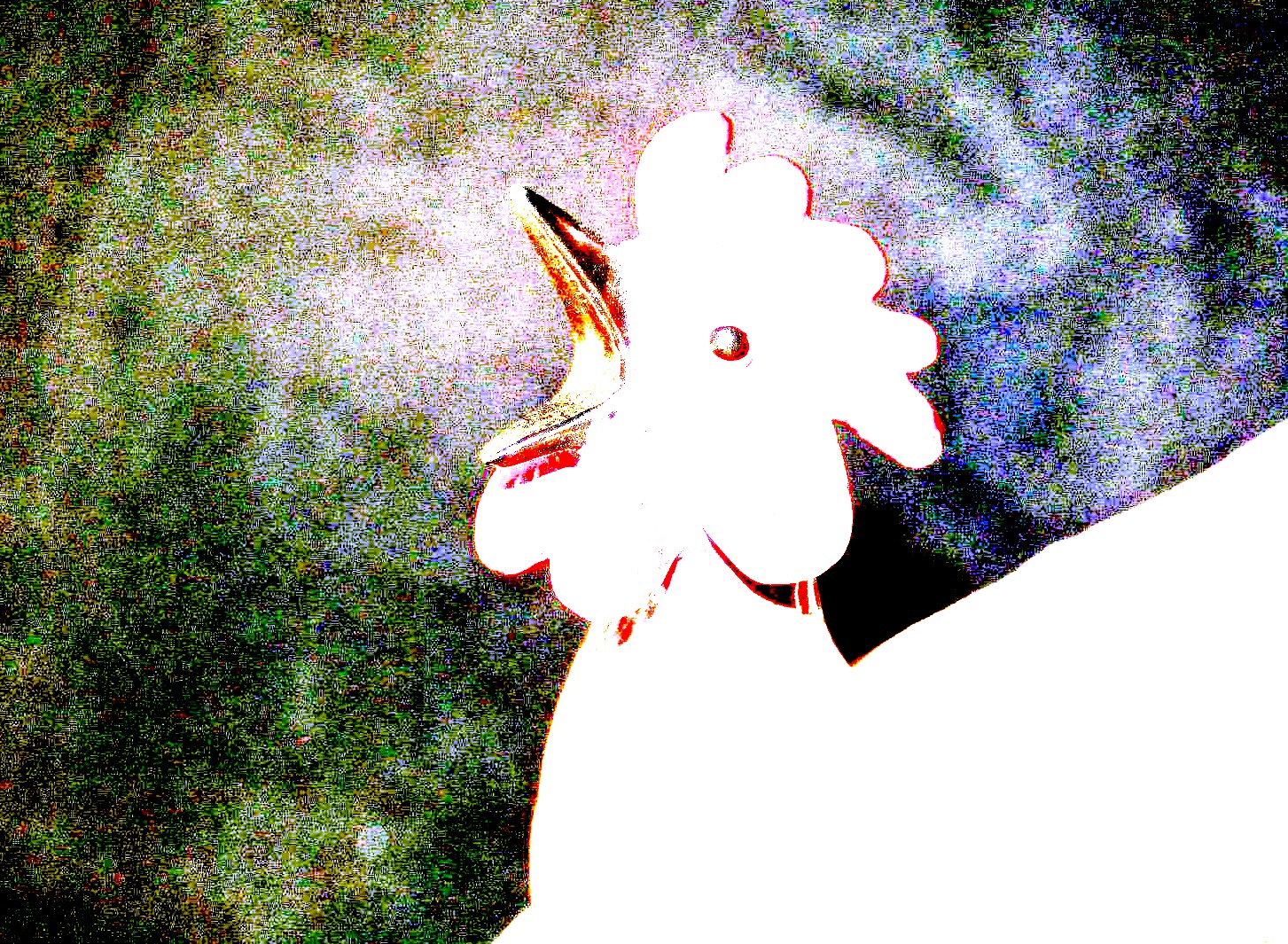 1 6cf48693bd2de8253966b3c0038ef3bb.jpg?ixlib=rails 2.1