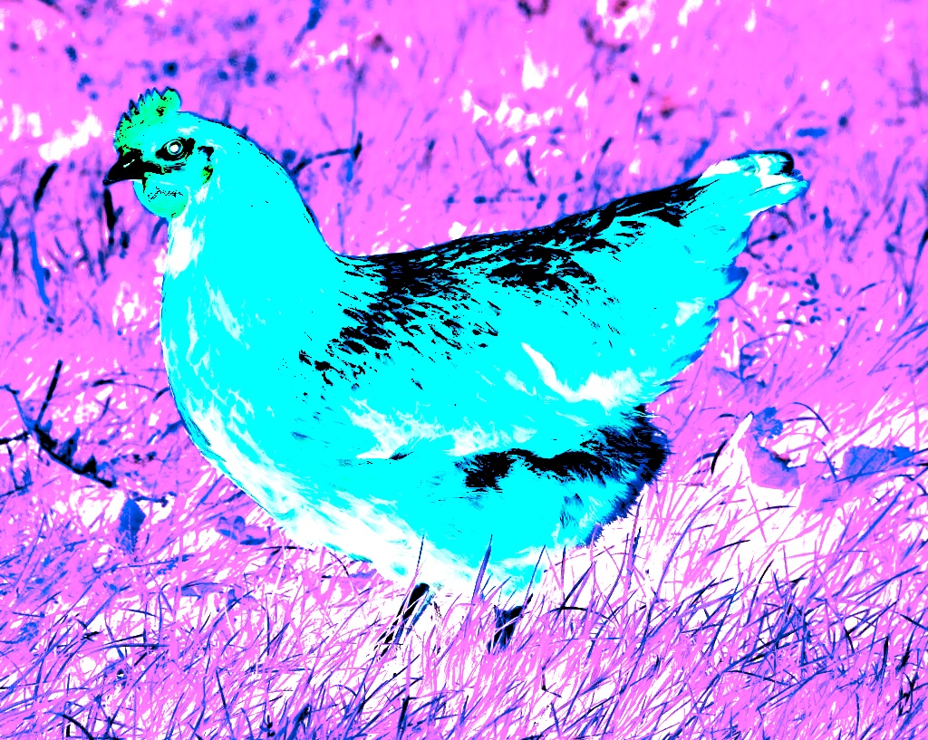 4077698693.jpg?ixlib=rails 2.1