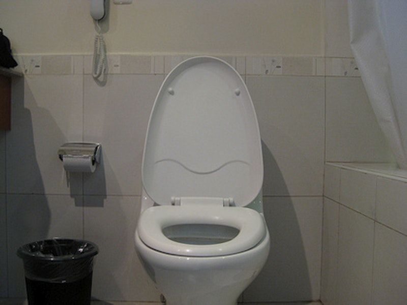 Toilet.jpg?ixlib=rails 2.1