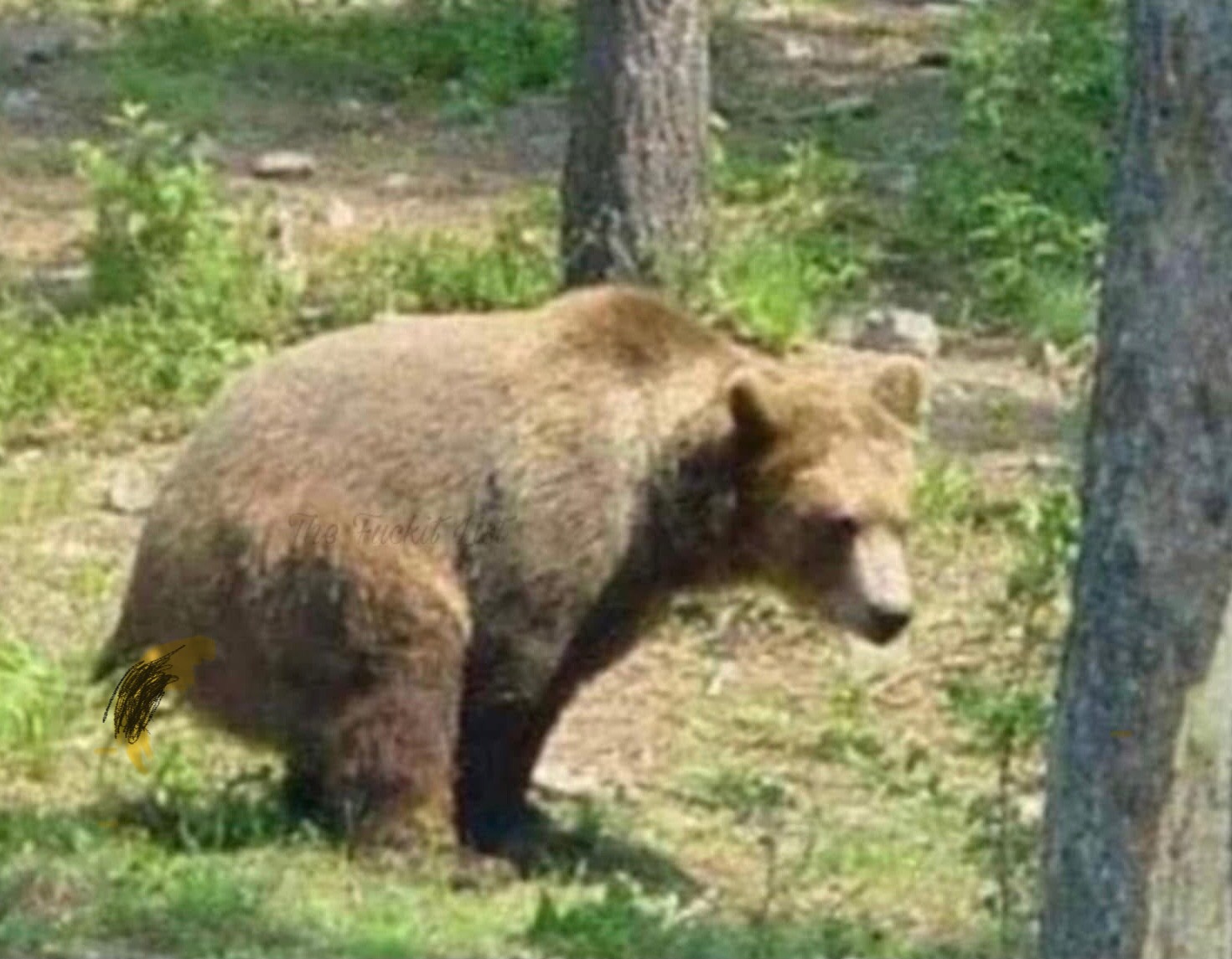 Img 1436.jpg?ixlib=rails 2.1