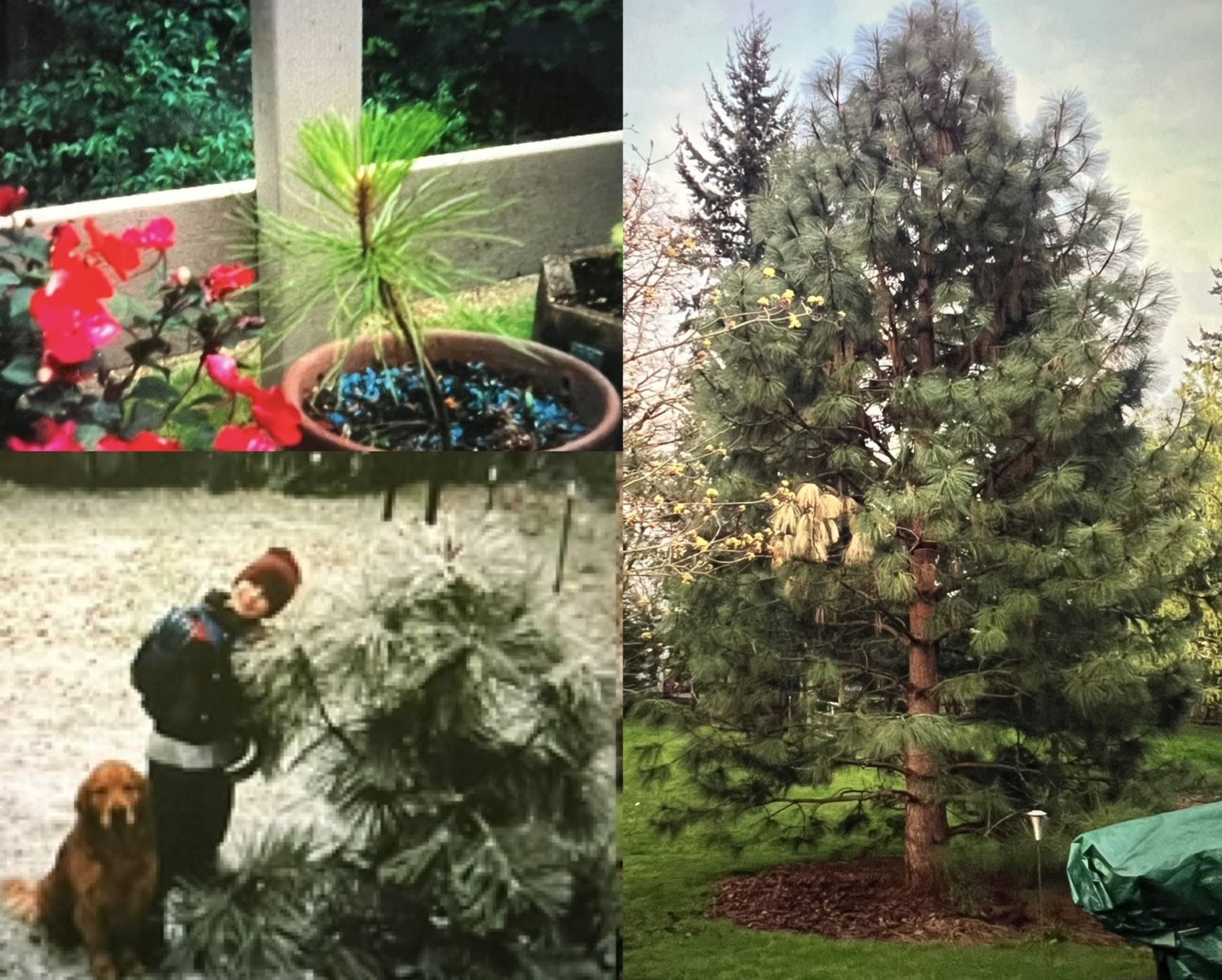 Kjhjlk.jpg?ixlib=rails 2.1