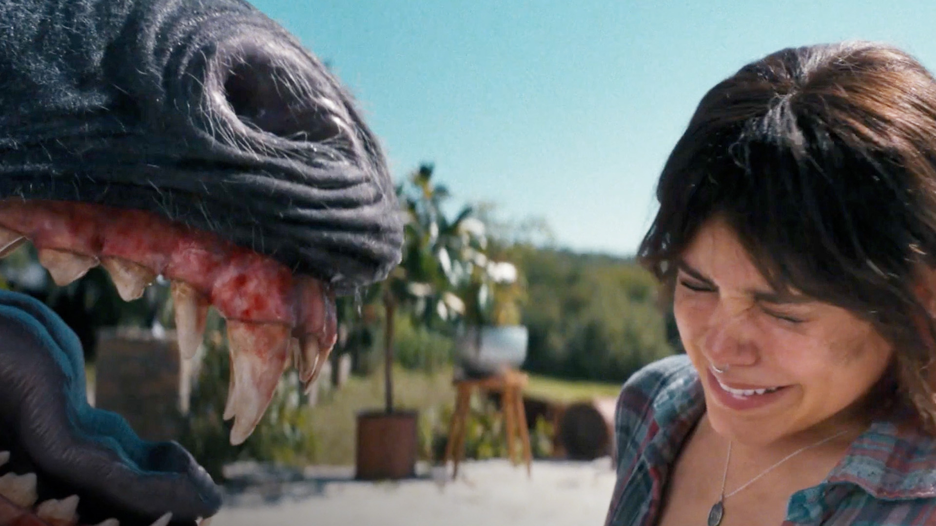 Thumb 1c6c1020 767c 4216 8b3c cf92a1942344.jpg?ixlib=rails 2.1