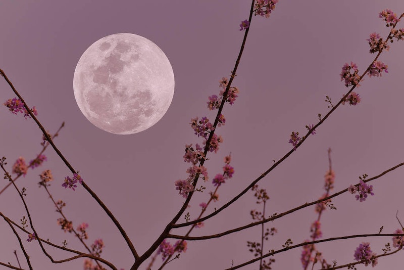 Moon picture.jpg?ixlib=rails 2.1
