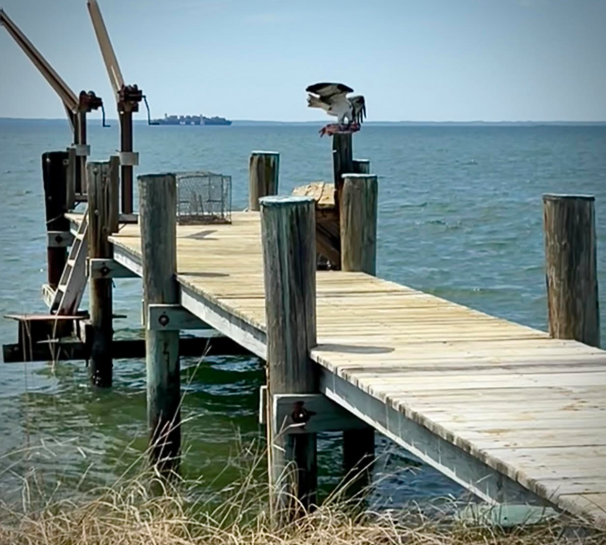 Screenshot 2025 04 24 at 12.46.22 pm.png?ixlib=rails 2.1