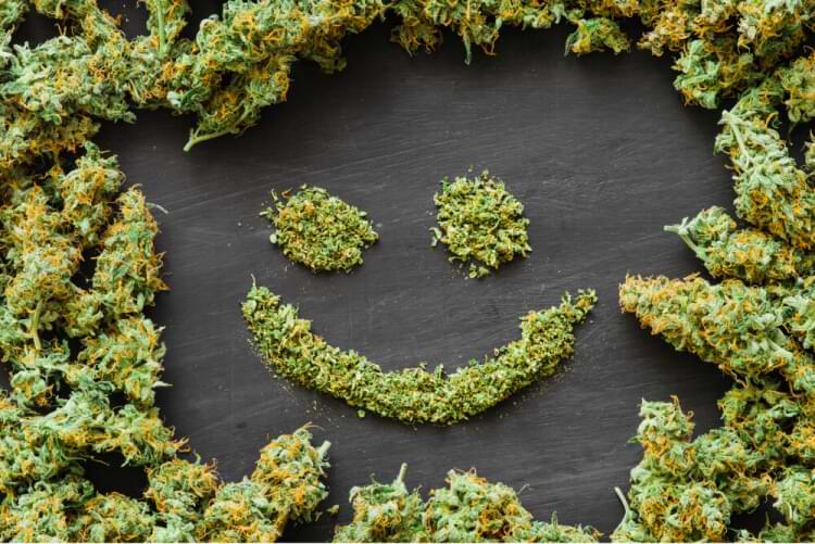 Stoner aesthetic 1.jpg?ixlib=rails 2.1