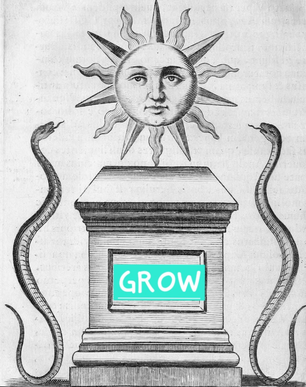 Screenshot 20250531 085224 gallery.jpg?ixlib=rails 2.1