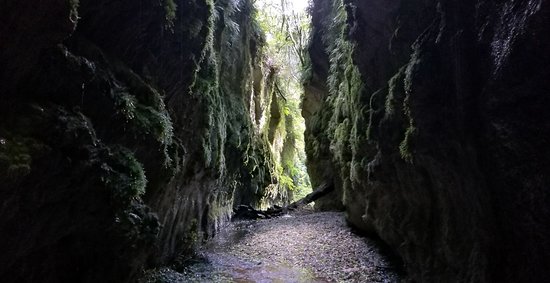 Ravine.jpg?ixlib=rails 2.1