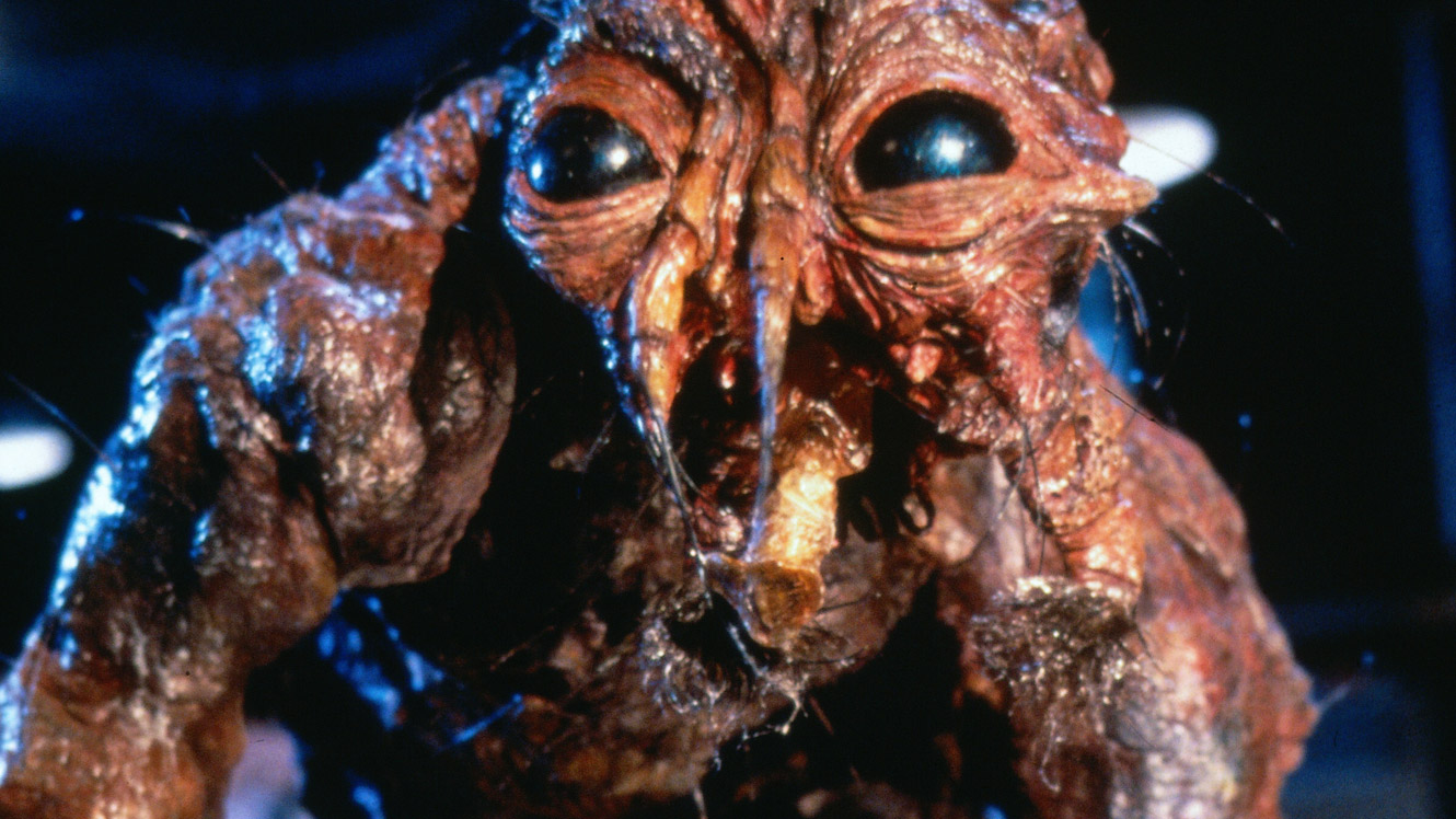 Di the fly 1986 2.jpg?ixlib=rails 2.1