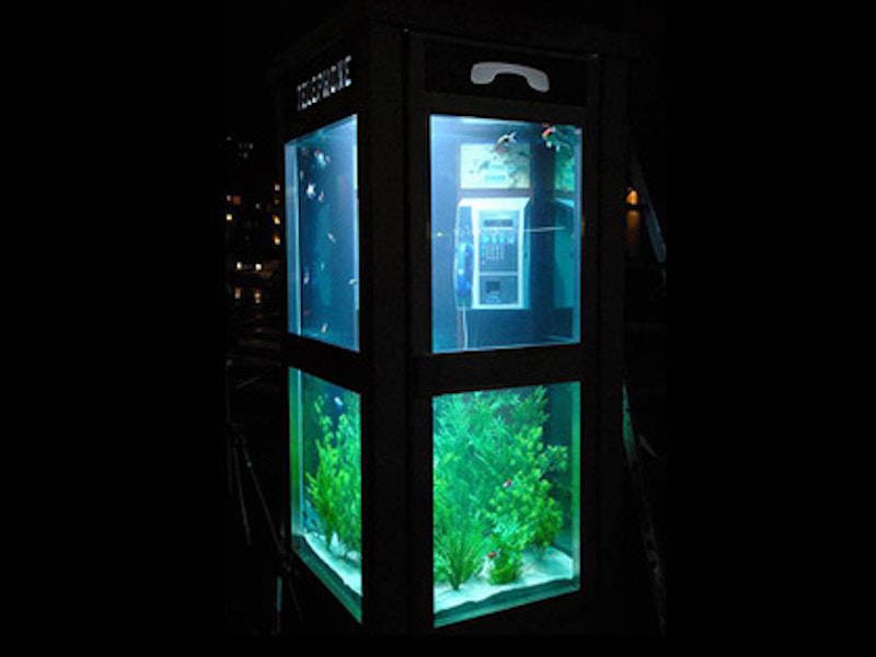 Aquarium phone booth05.jpg?ixlib=rails 2.1