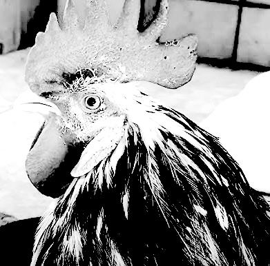 Hq720.jpg?ixlib=rails 2.1