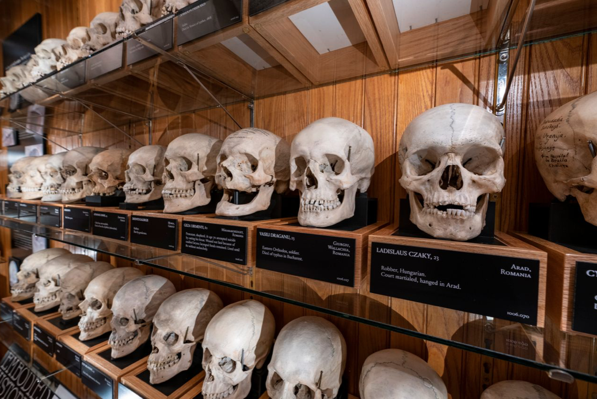 Screenshot 2025 08 28 at 12.47.41 pm.png?ixlib=rails 2.1