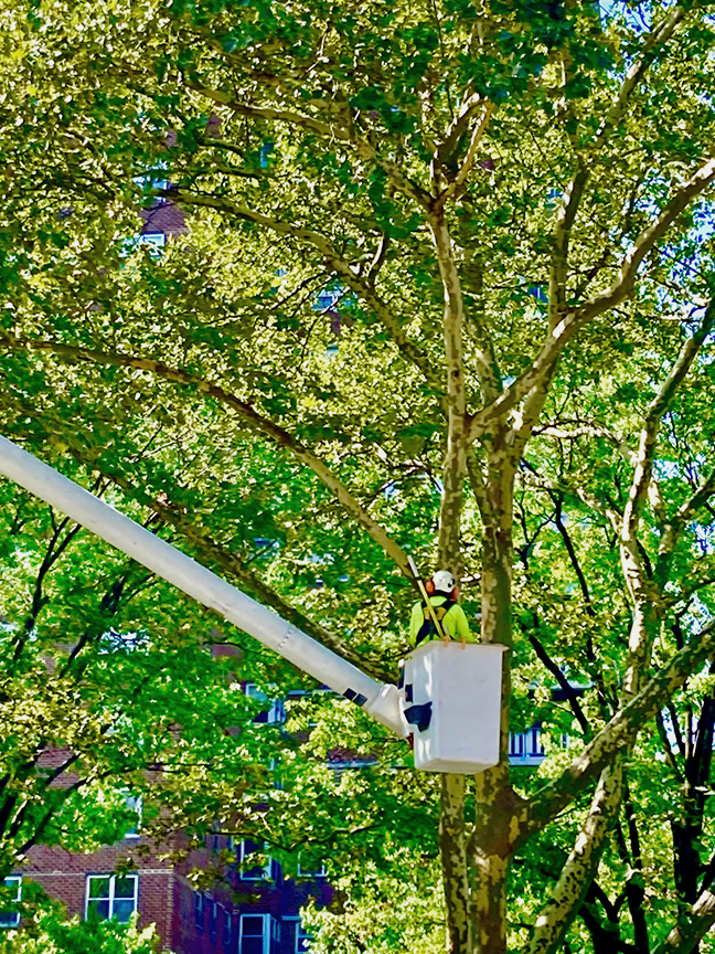 Londonplane.jpg?ixlib=rails 2.1