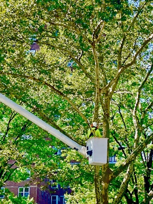 Londonplane.jpg?ixlib=rails 2.1