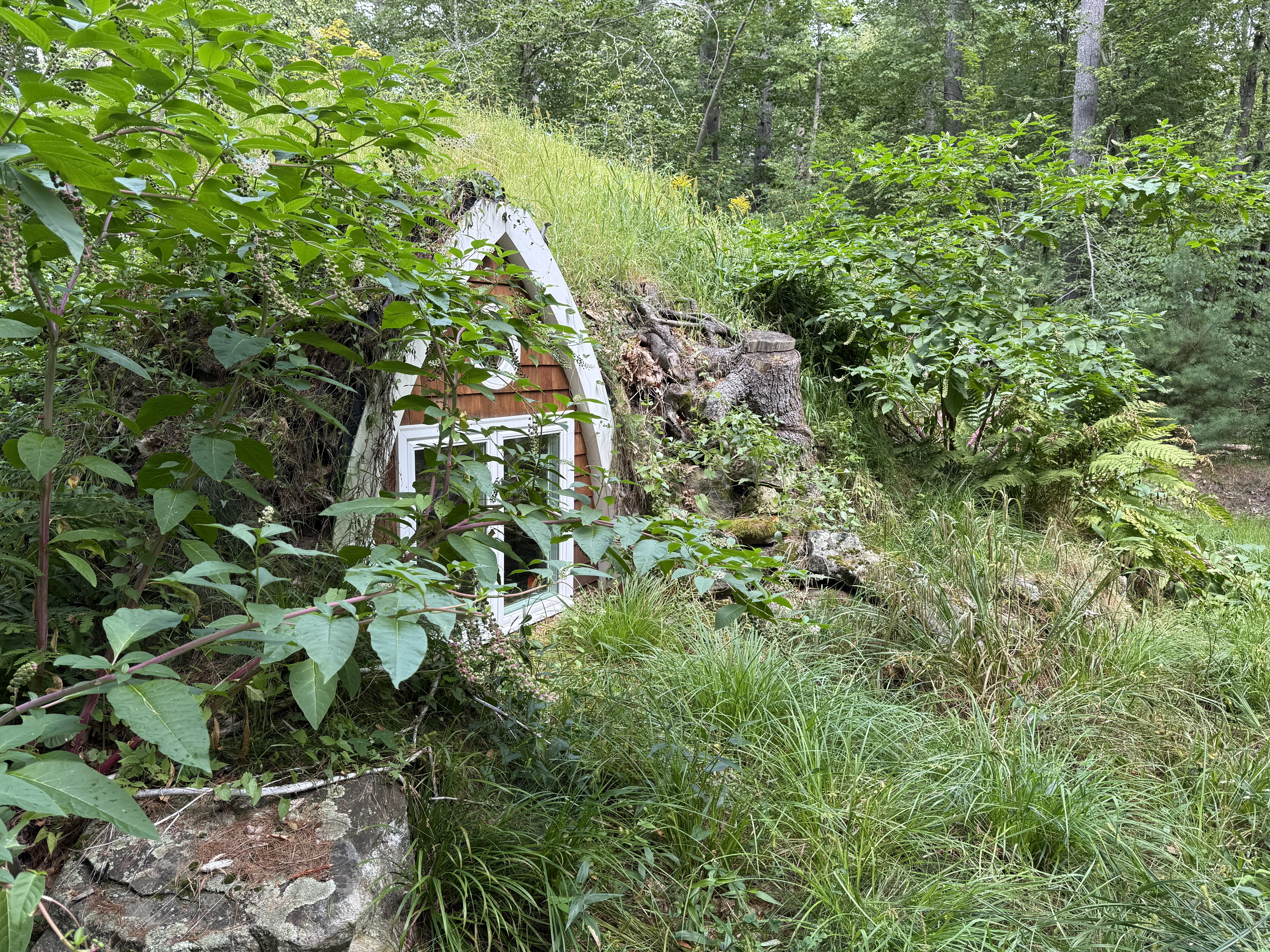 Img 4546.jpg?ixlib=rails 2.1