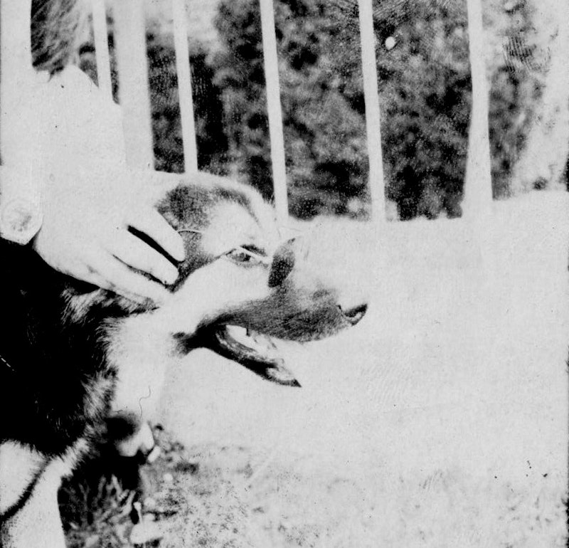 Scan 88.jpeg?ixlib=rails 2.1