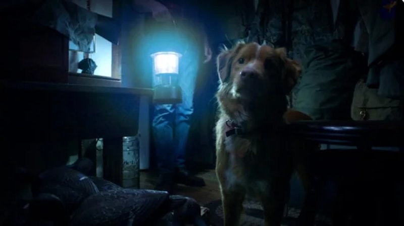 Good boy review horror movie told from the dogs point of v0 csgsvvdaeozbuanxaxpz8mwr8fcivchxnwzn3otoou8.jpg?ixlib=rails 2.1