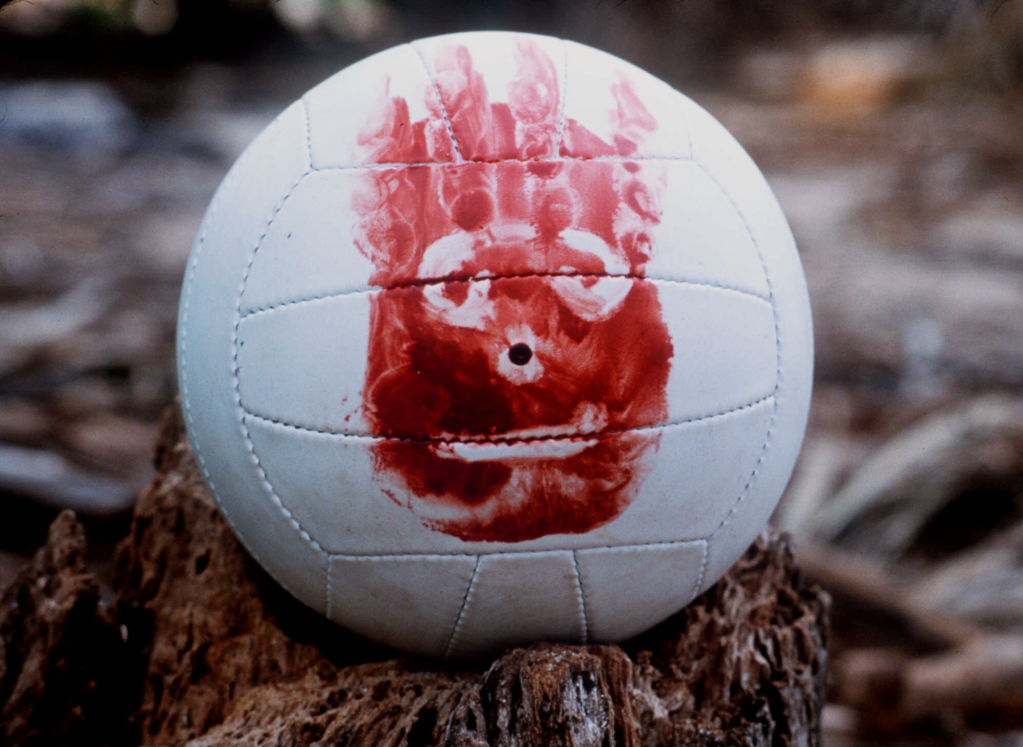 Cast away wilson volleyball1.jpg?ixlib=rails 2.1