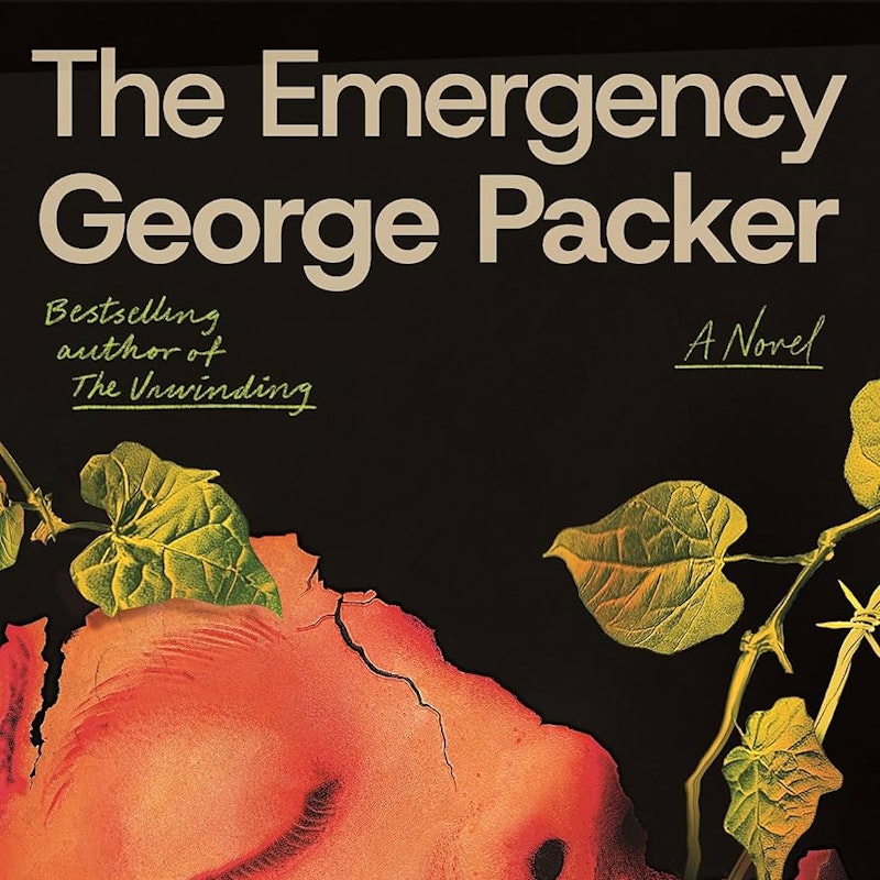 81tzk9fqgml. uf894 1000 ql80 .jpg?ixlib=rails 2.1