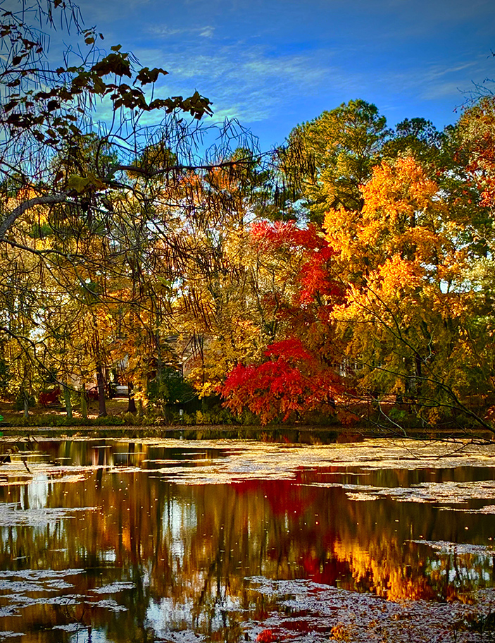 Fallsky.jpg?ixlib=rails 2.1