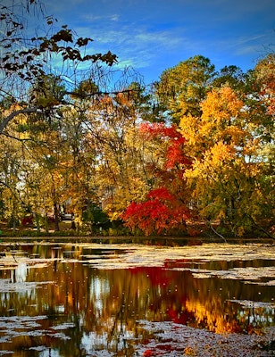 Fallsky.jpg?ixlib=rails 2.1