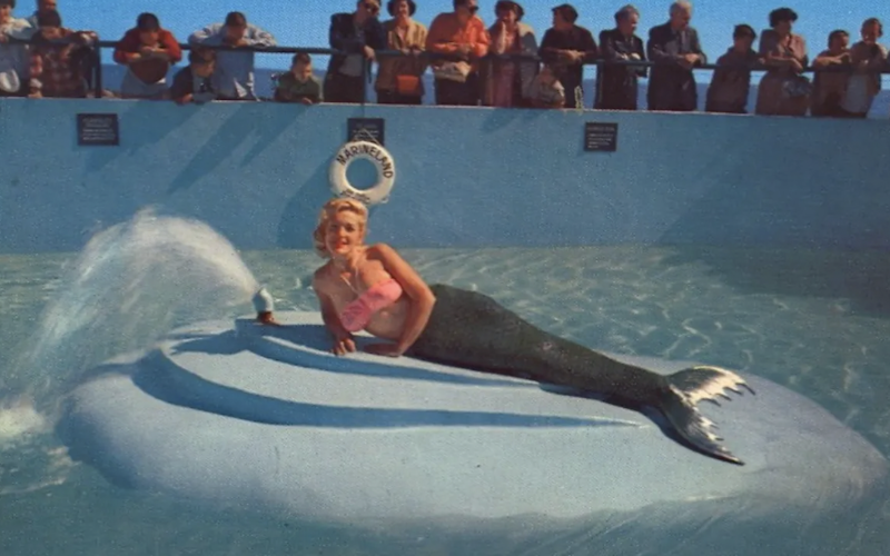 Screen shot 2025 11 12 at 8.47.19 am.png?ixlib=rails 2.1