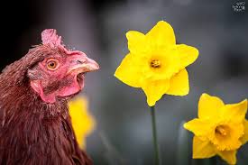 Images 3.jpeg?ixlib=rails 2.1