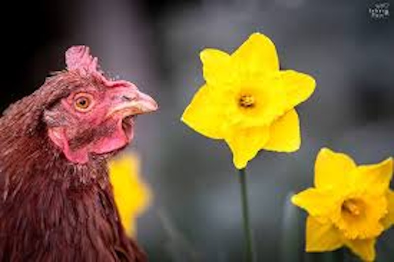 Images 3.jpeg?ixlib=rails 2.1