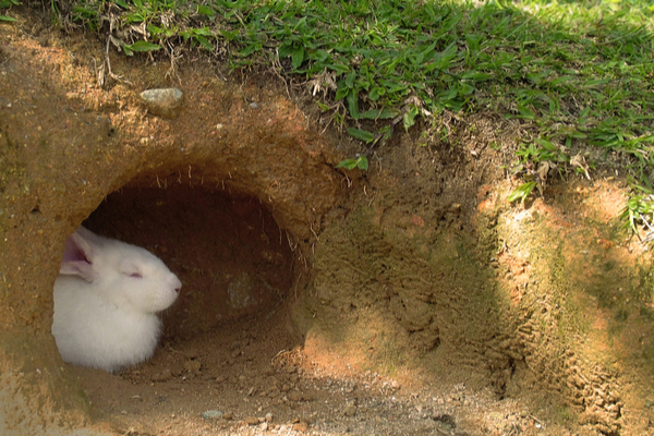 1303db65715b48b1646b0dd483298c52.jpg?ixlib=rails 2.1