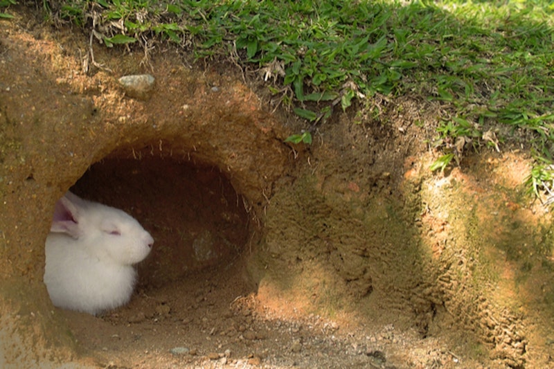 1303db65715b48b1646b0dd483298c52.jpg?ixlib=rails 2.1