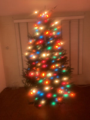 Img 1082.jpg?ixlib=rails 2.1