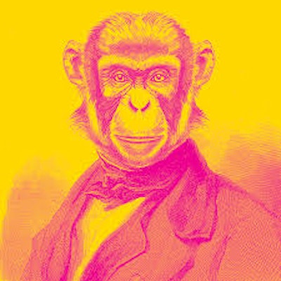 Images  29 .jpg?ixlib=rails 2.1