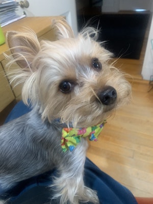 Img 1074 2.jpg?ixlib=rails 2.1