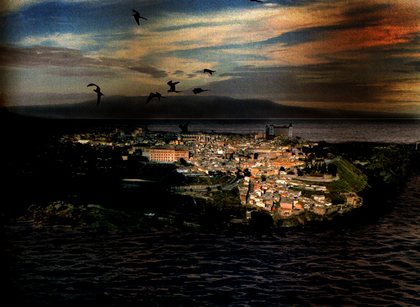 Birds.jpg?ixlib=rails 2.1