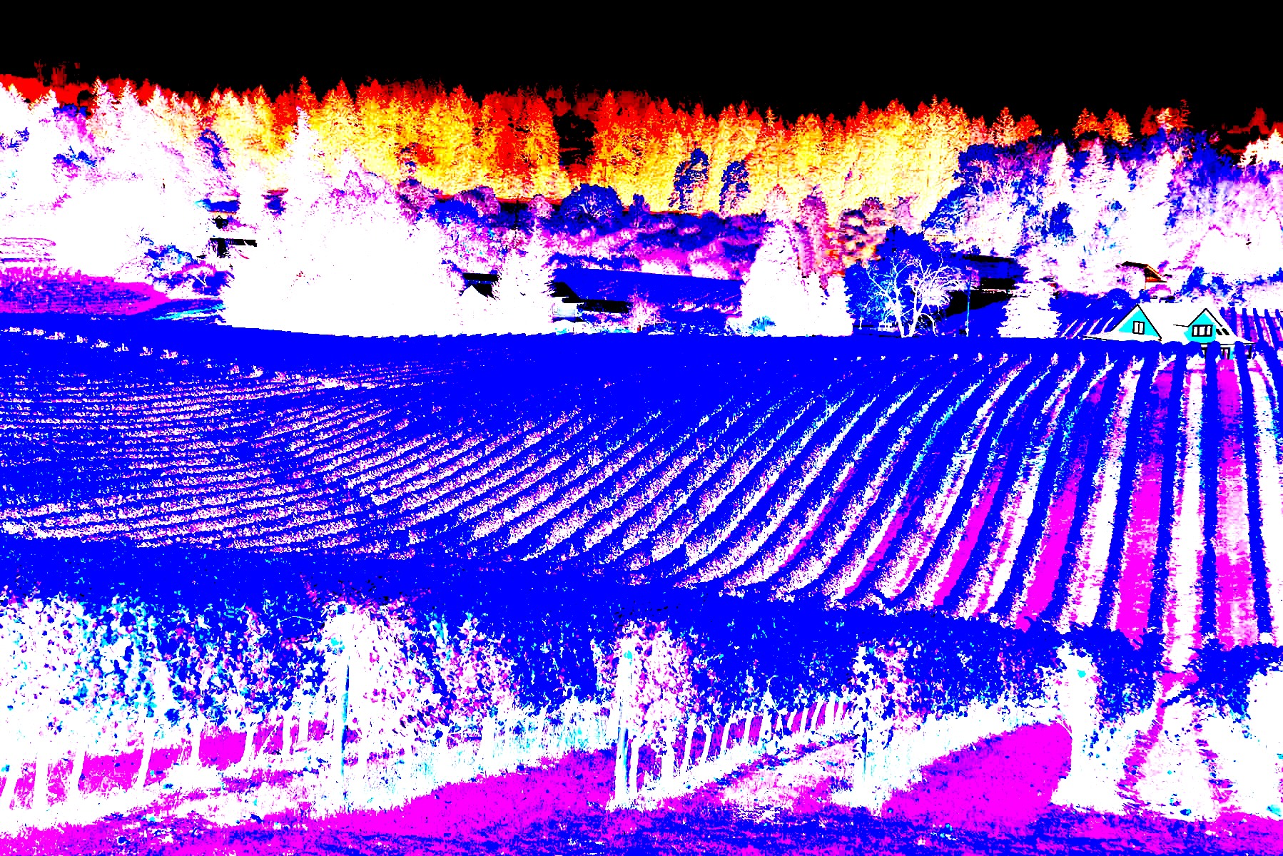 Willamette valley 536720121ts sm.jpg?ixlib=rails 2.1