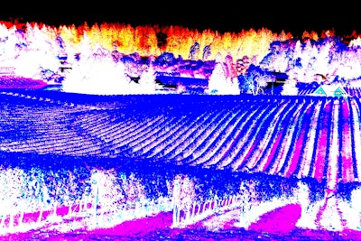 Willamette valley 536720121ts sm.jpg?ixlib=rails 2.1