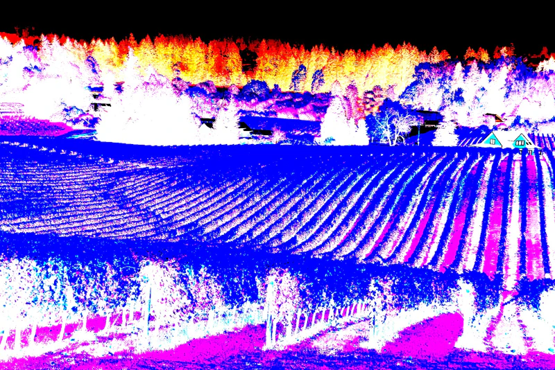 Willamette valley 536720121ts sm.jpg?ixlib=rails 2.1