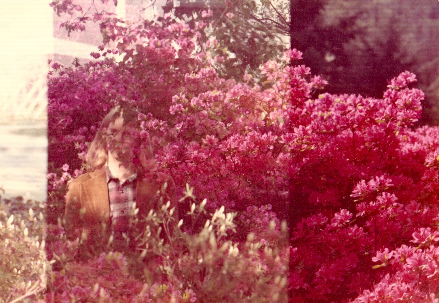 Scan 111.jpeg?ixlib=rails 2.1