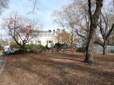 Gracie.jpg?ixlib=rails 2.1