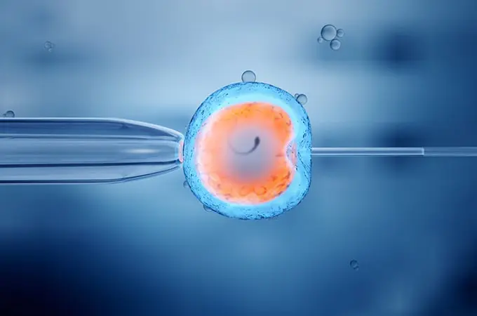 Ivf featureimage.jpg?ixlib=rails 2.1