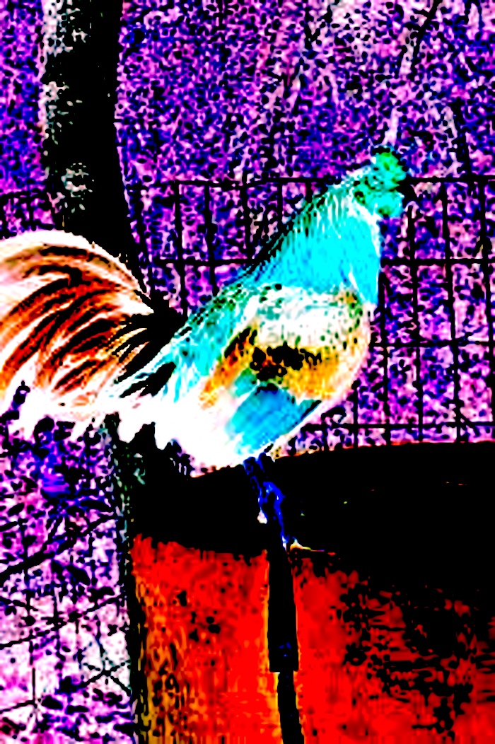 Images.jpeg?ixlib=rails 2.1