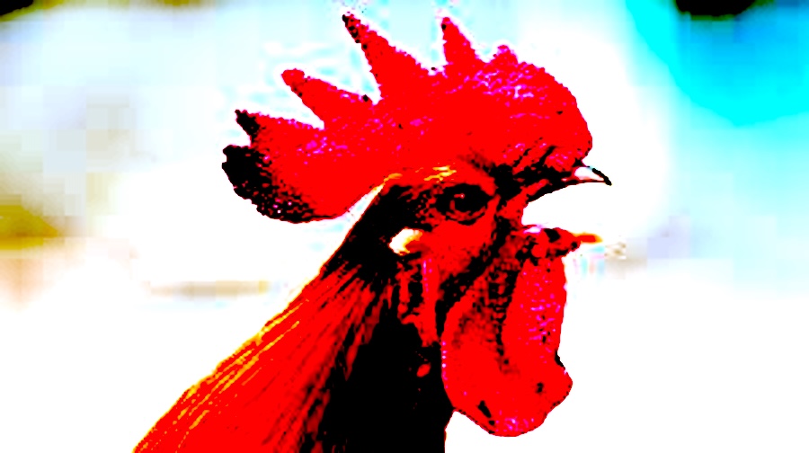 Images.jpeg?ixlib=rails 2.1
